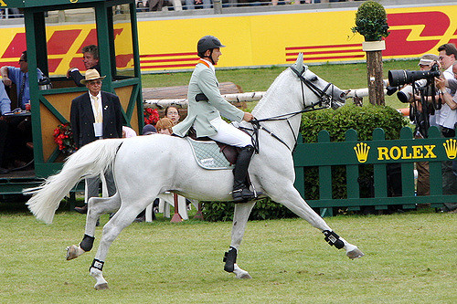 CORNET OBOLENSKY - Warmblood Stallion